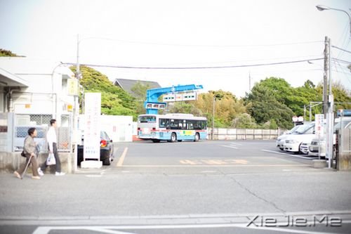 晚安心语：我看起来没心没肺，但其实比谁都真心真意 (7)