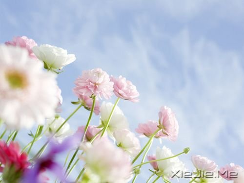 ʱûмǾͷ (7)