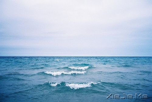 晚安心语：把手放开，你得到的是一切 (5)