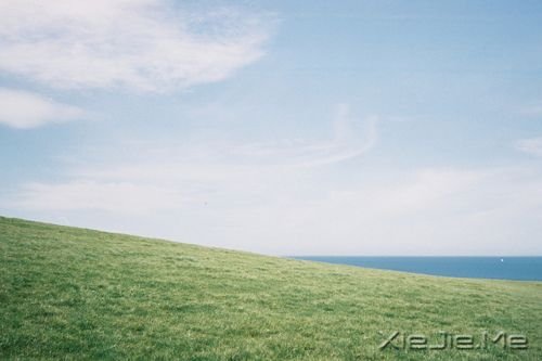 晚安心语：把手放开，你得到的是一切 (8)
