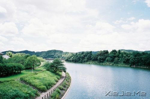 簲:ԼЦݲķ羰 (8)